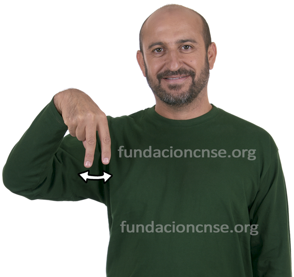 ñ