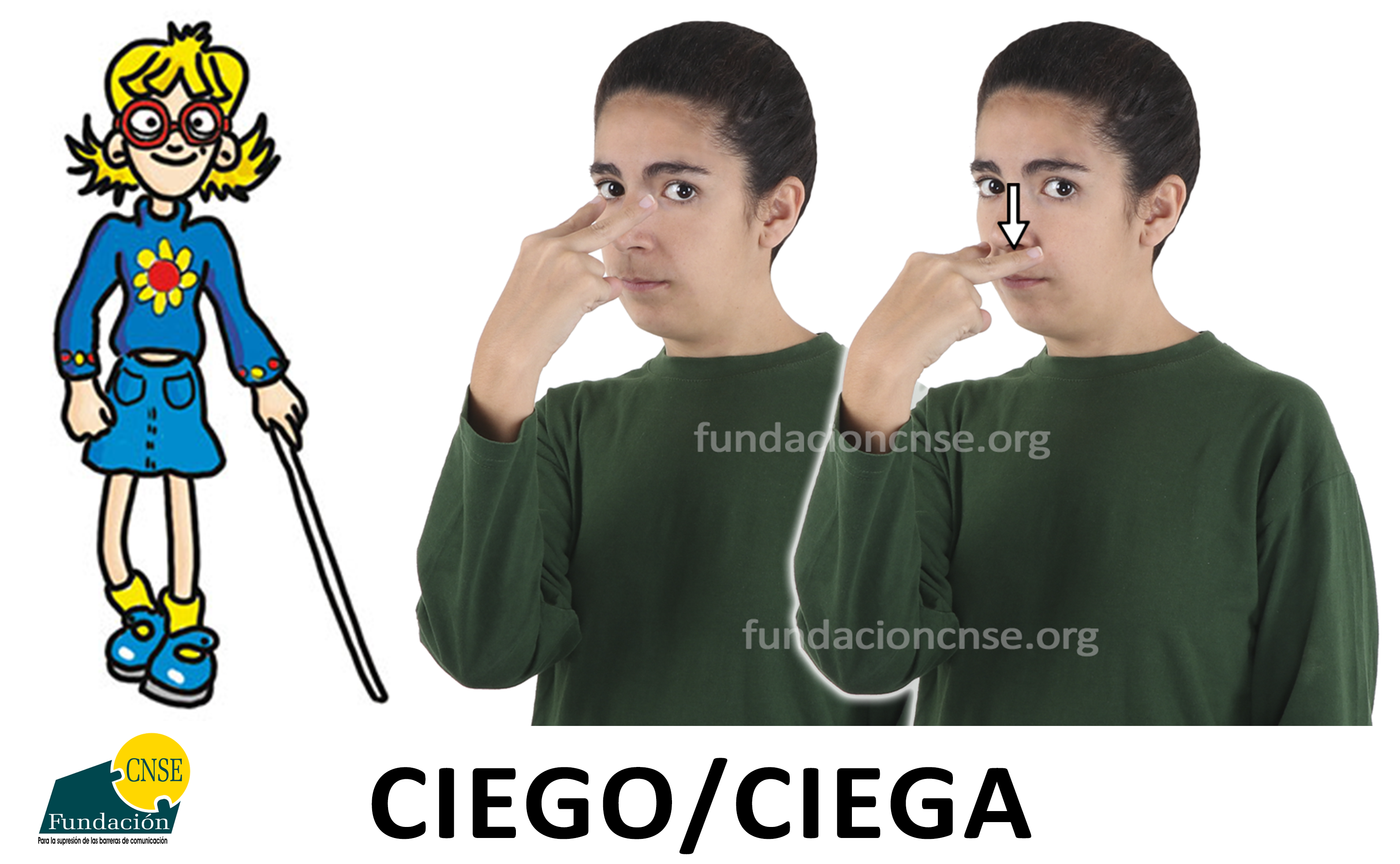 ciego