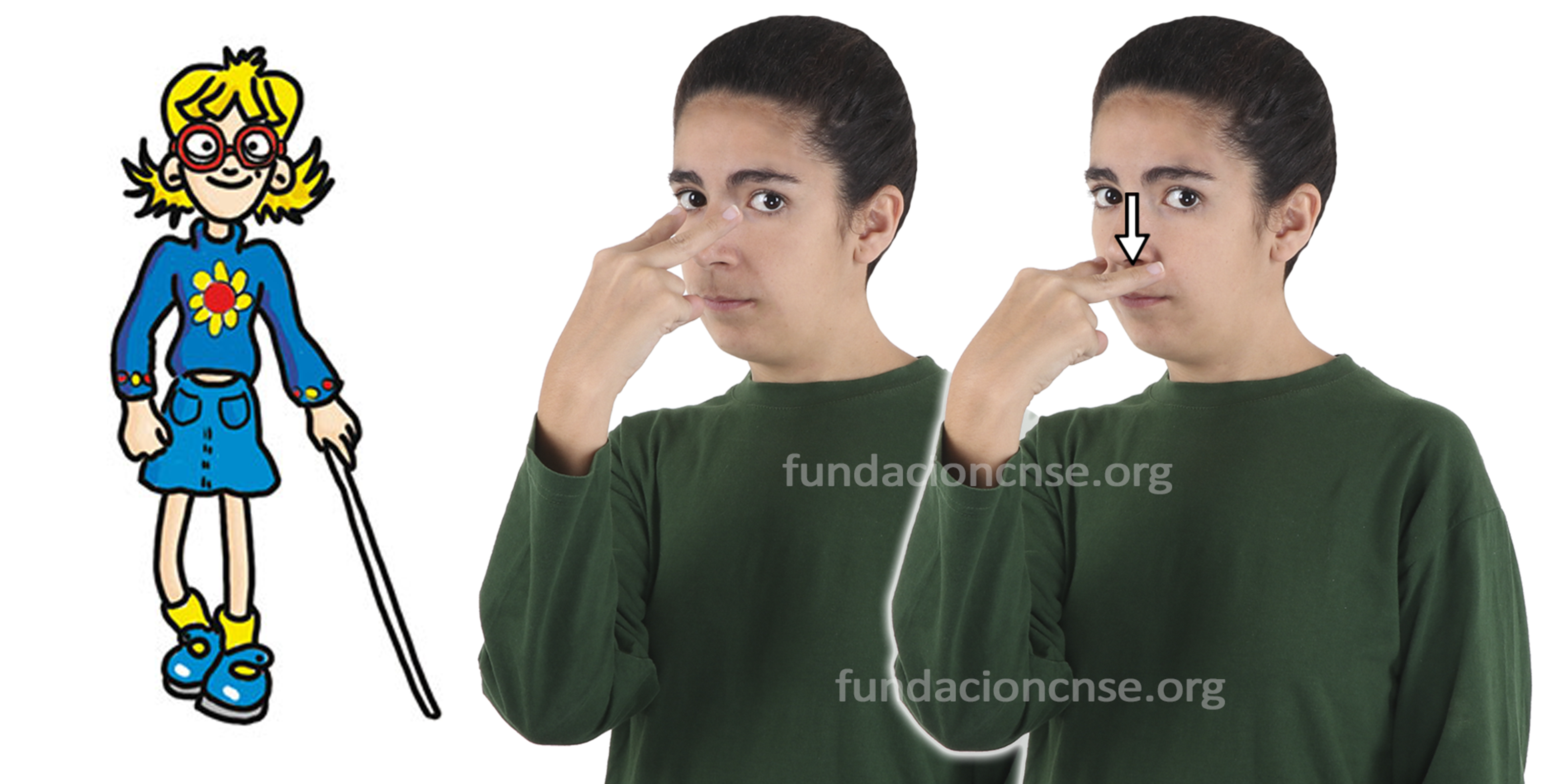 ciego