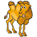 img02