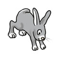 img02