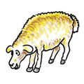 img02